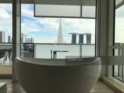 Eden Residences Capitol (D6), Apartment #135736652